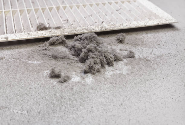 Best HVAC Duct Inspection Services  in Mcdade, TX