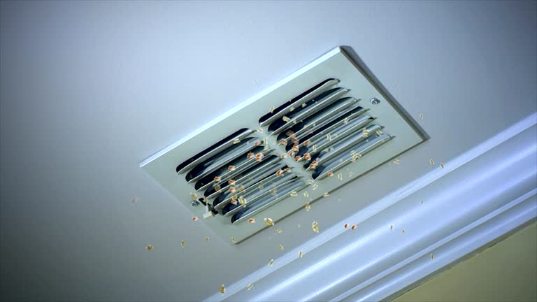 Best General Air Duct Cleaning  in Mcdade, TX