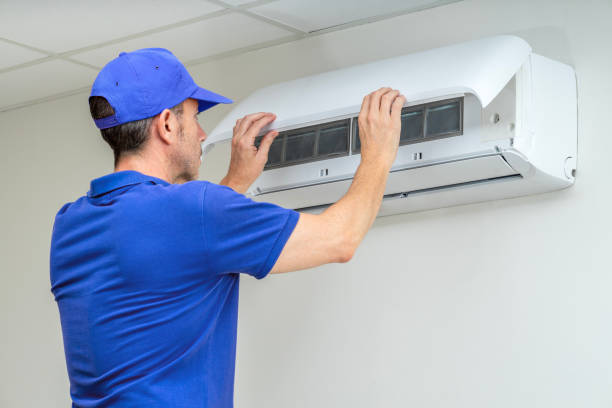 Best Air Duct Mold Removal  in Mcdade, TX
