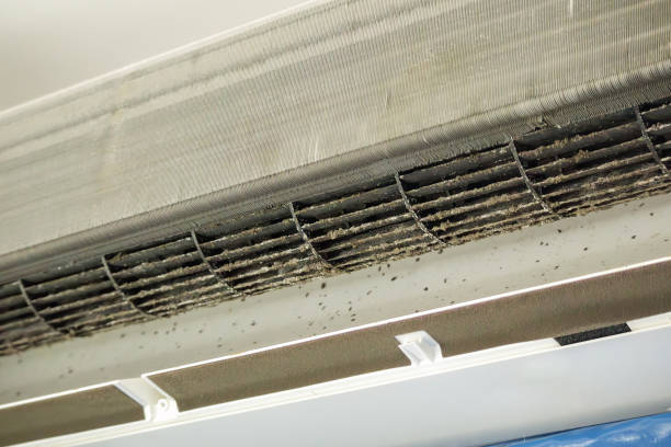 Best Best Air Duct Cleaning Company  in Mcdade, TX